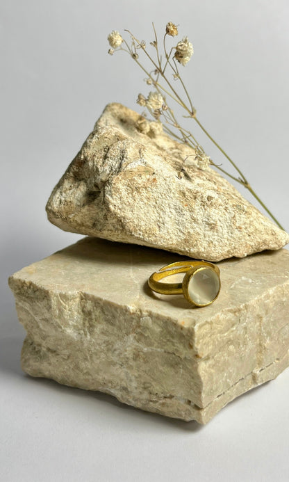 ANELLO LILLY