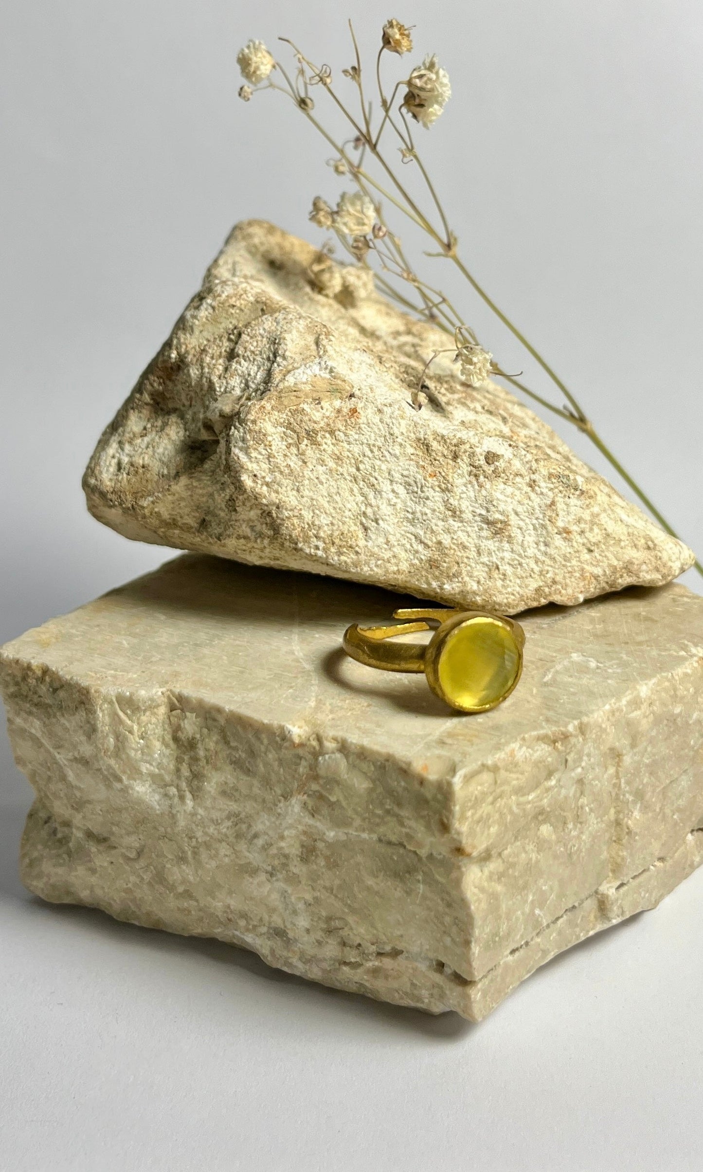 ANELLO LILLY