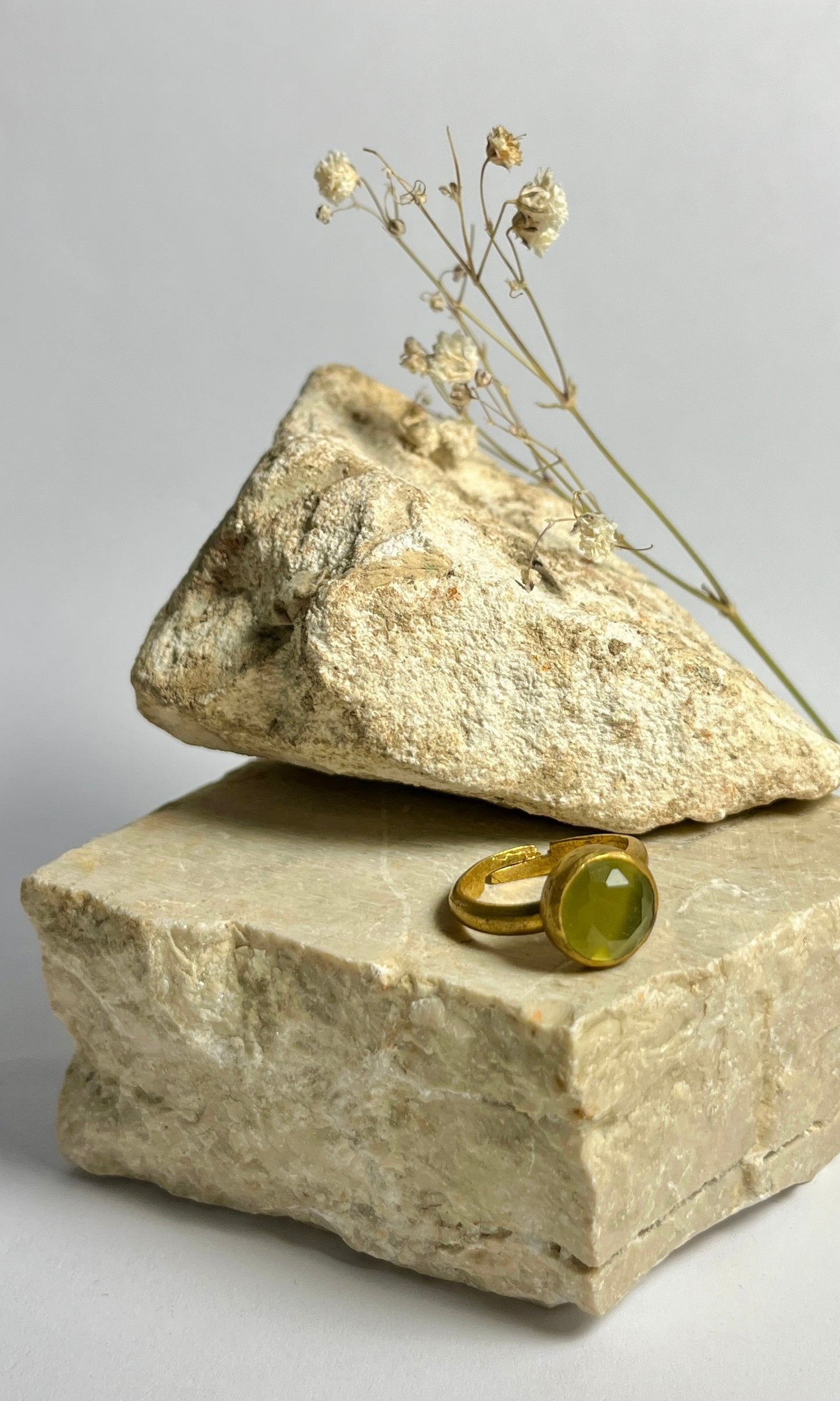 ANELLO LILLY
