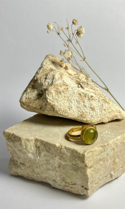 ANELLO LILLY