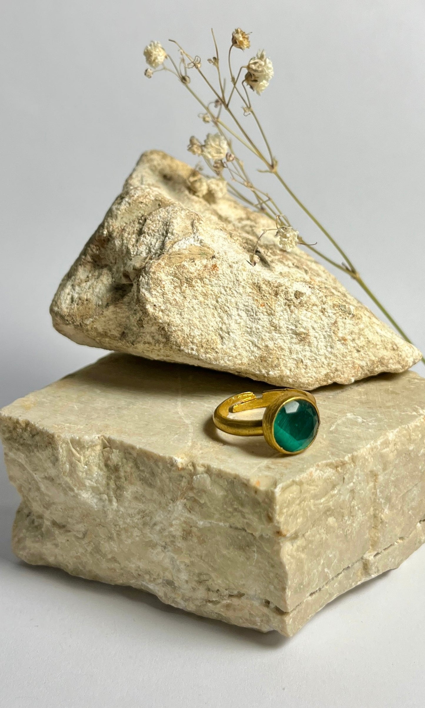 ANELLO LILLY