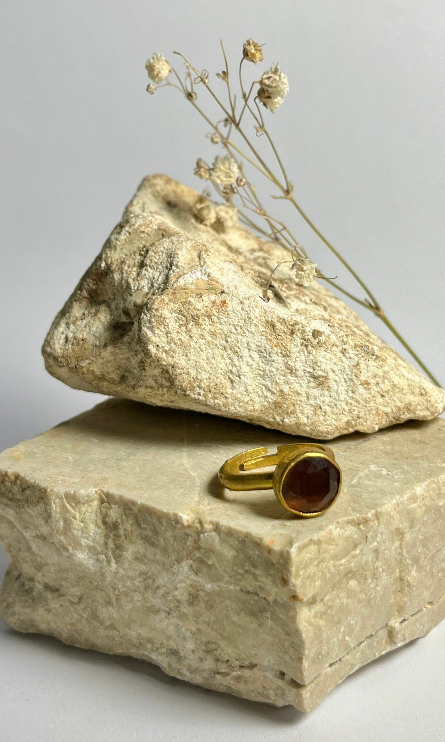 ANELLO LILLY